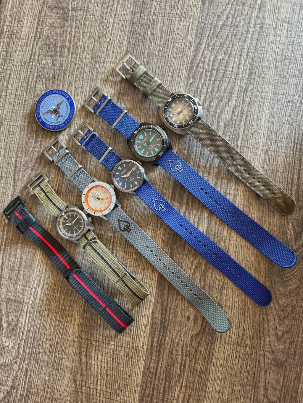Land Diver Society Watch buying&nbsp;tips